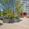 Landscaped roof top deck